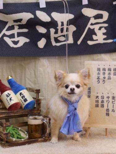 20240614ヴィヴィちゃん